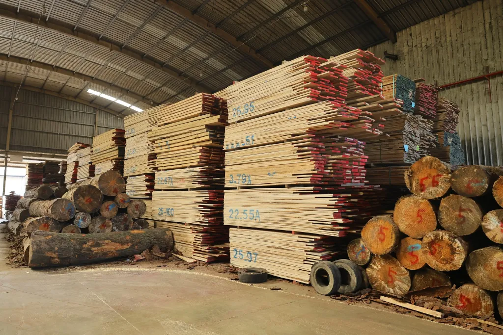 Kho nguyên liệu Điệp Dương — gỗ tròn và gỗ xẻ trong nhà xưởng